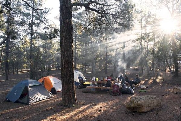 Le camping écolo : une expérience de vacances plus proche de la nature