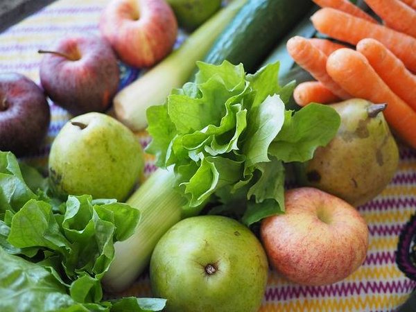 Camping et gastronomie en campagne : découvrir les produits locaux et les spécialités régionales