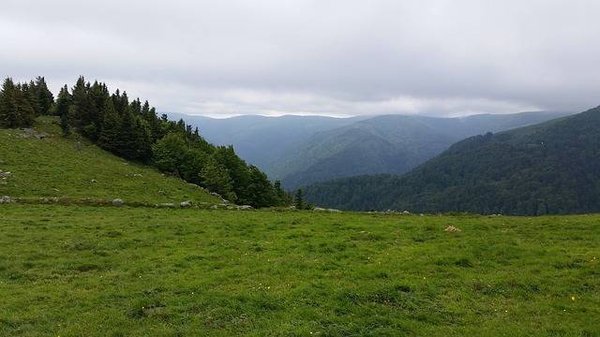 Quelles sont les activités de détente à pratiquer dans un camping dans les Vosges ?