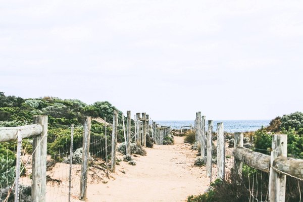 Quels sont les avantages d'opter pour une destination comme Royan pour camper ?