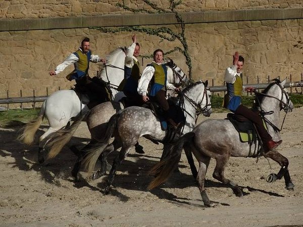 Quelles sont les meilleurs campings à la campagne près du Puy du Fou ?