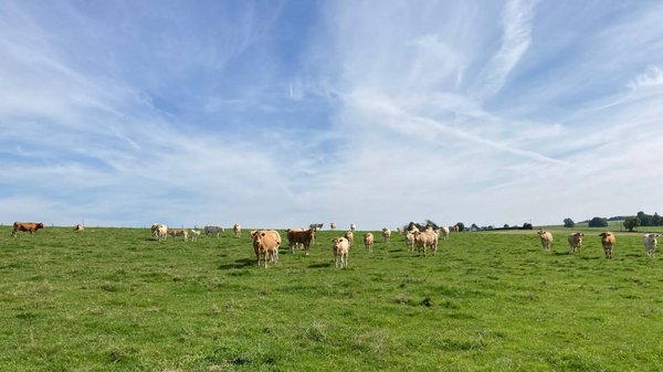 L'agrotourisme : une façon responsable de découvrir la vie à la ferme